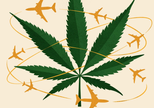 Traveling with Medical Cannabis: What You Need to Know